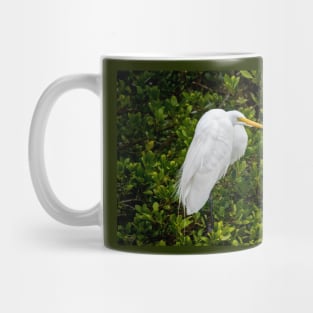 Great Egret In The Mangrove Tree Mug